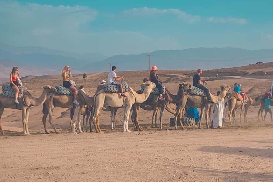 Agafay Desert: Quad Biking, Camel Ride, Lunch - Who gets the best value from this trip