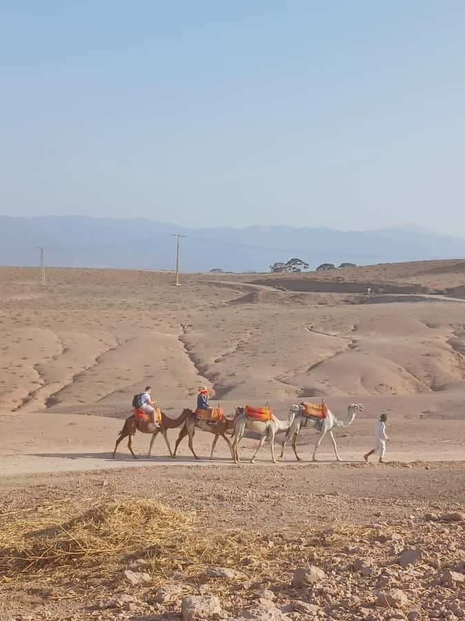 Agafay Desert: Quad Biking, Camel Ride, Lunch - A gentle 20-minute camel ride