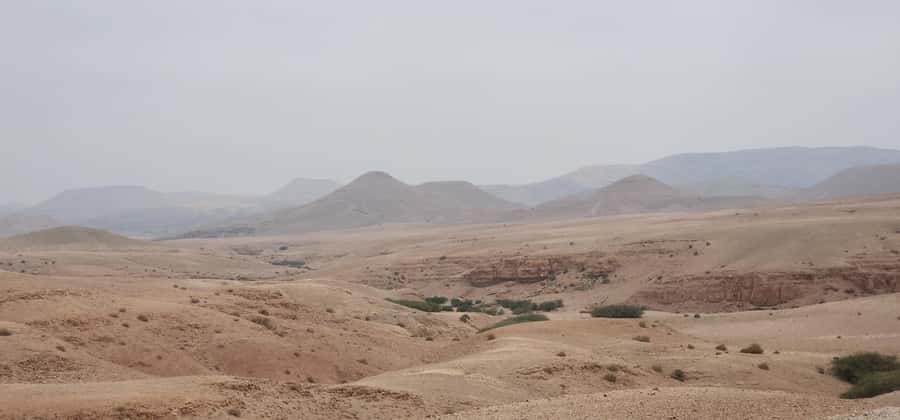 Agafay Desert: Quad Biking, Camel Ride, Lunch - Guides, communication, and how the day feels