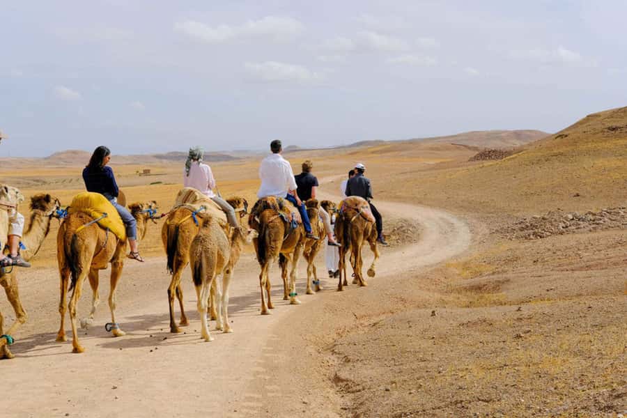 Agafay Desert: Quad, Camel Ride & Luxury Lunch with Pool - Lunch at Arabian Desert Home