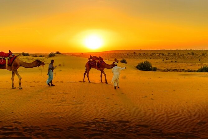 Agafay Desert Sunset, Camel Ride and Dinner from Marrakech - What Agafay gives you in six and a half hours