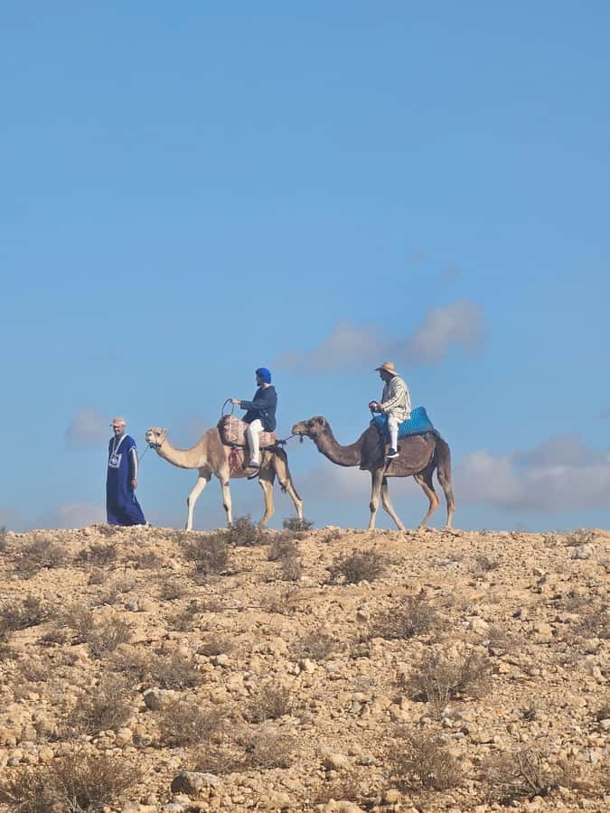 Agafay Desert Tour: Quad, Camel, Lunch & Pool Access - Moroccan Lunch at the Desert Retreat