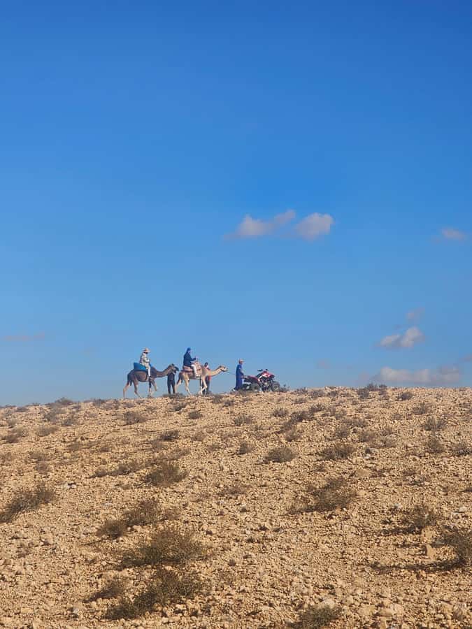 Agafay Desert Tour: Quad, Camel, Lunch & Pool Access - Pool Time with a Desert View