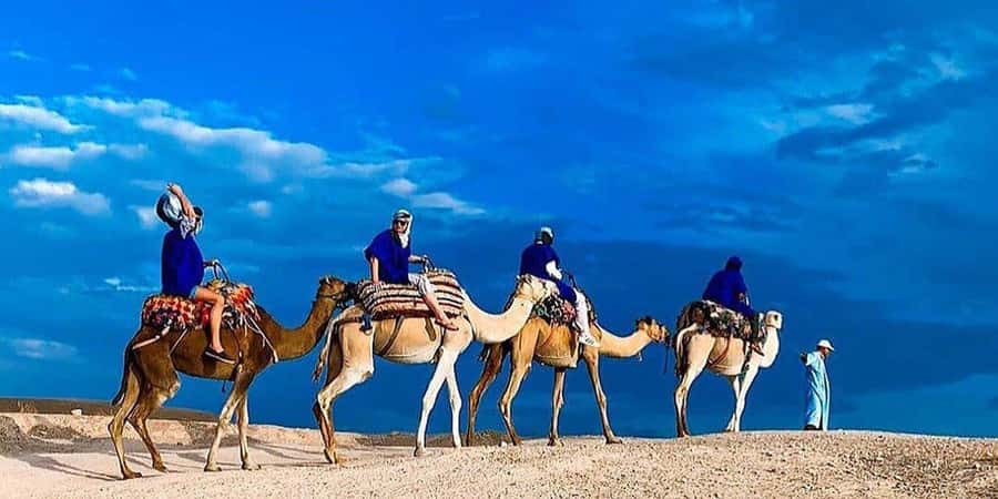 Agafay: Half-Day Rocky Desert Quad & Camel Ride with Lunch - Mint tea, Moroccan lunch, and the best pause of the day