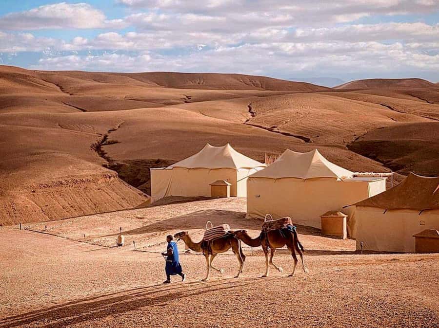 Agafay: Half-Day Rocky Desert Quad & Camel Ride with Lunch - Guides, photographs, and the human side of the trip