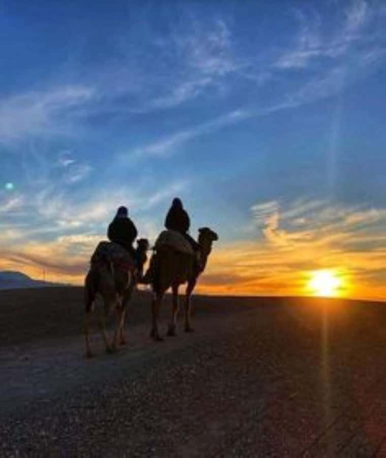 Agafay: Quad, Camel Ride & Dinner Show from Marrakech - The argan oil cooperative and Moroccan tea