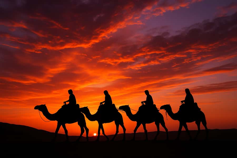 Agafay: Quad, Camel Ride & Dinner Show from Marrakech - Who should book this Agafay outing?