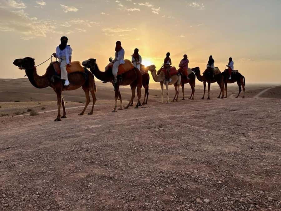 Agafay tour Quade Bike, Sunset and Romantic Dinner Show - Quick reasons to consider this Agafay evening