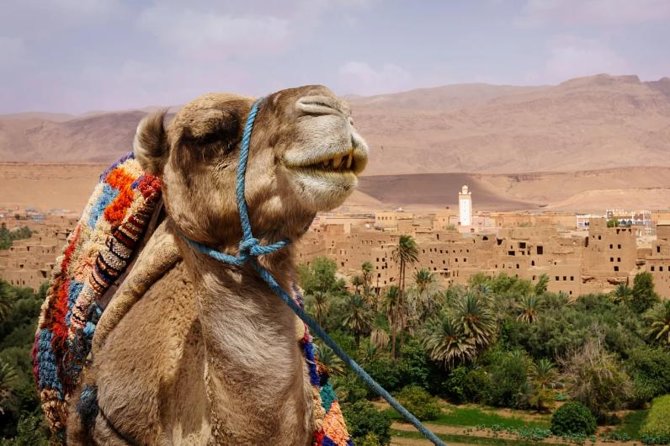 Ait ben haddou and Ouarzazate day trip - What the $40.71 price really buys
