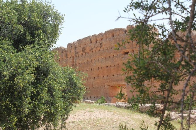 Argan Forest, tea time at a Berbers family & Visit of an Argan cooperative. - Is $52.27 a fair price?