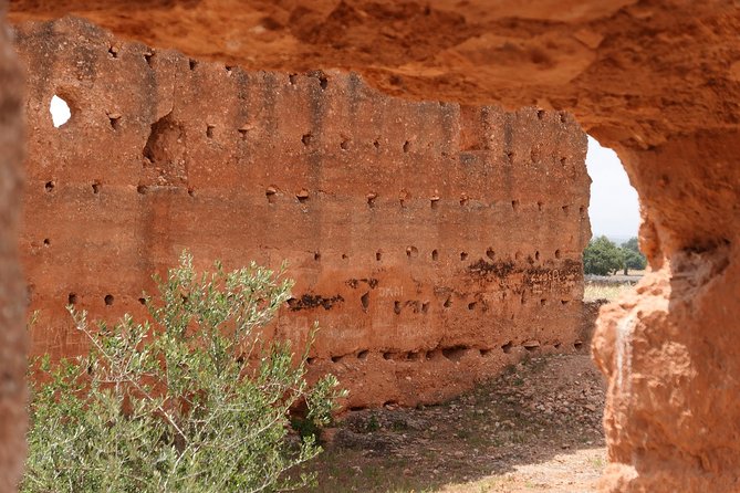 Argan Forest, tea time at a Berbers family & Visit of an Argan cooperative. - Who will enjoy this most?