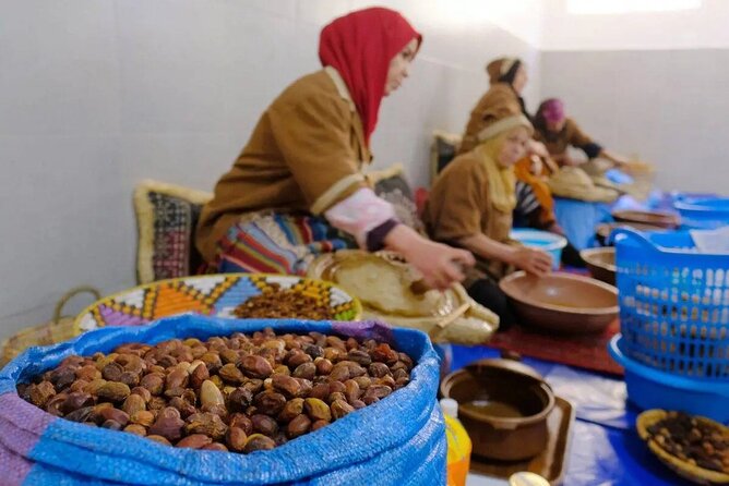 Argan Tree-Climbing Goats Morning Tour From Agadir - What $20 really buys you