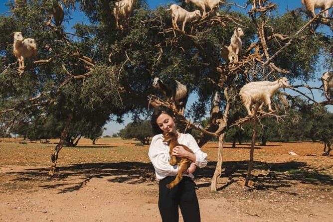 Argan Tree-Climbing Goats Morning Tour From Agadir - The argan oil visit at Planet Product