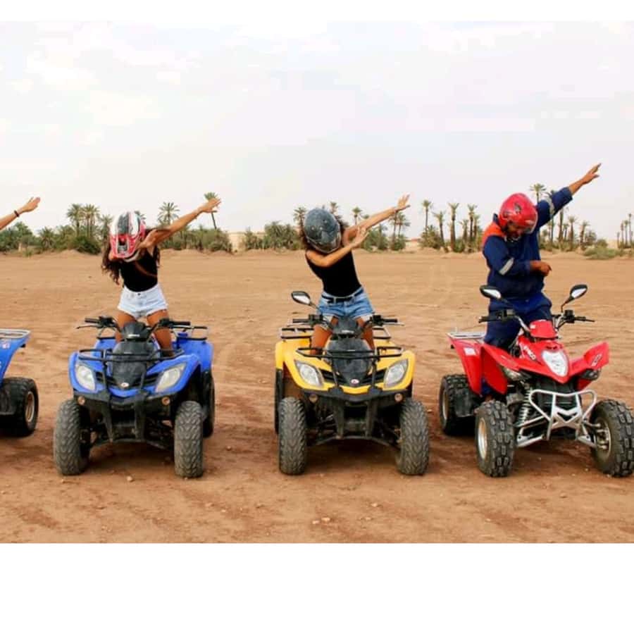 Around Marrakech: Camel Ride in Palm Groves including Tea - Leaving Marrakech for the Palmeraie
