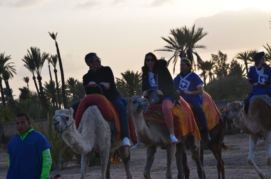 Around Marrakech: Camel Ride in Palm Groves including Tea - Mint tea after the ride