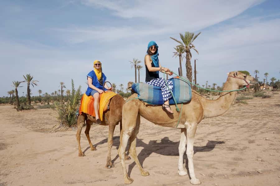 Around Marrakech: Camel Ride in Palm Groves including Tea - How much value do you get for $47?