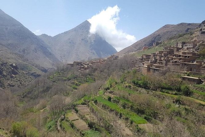 Atlas Mountain & Berber Villages and Waterfalls Day Trip from Marrakech - The waterfalls near Imlil