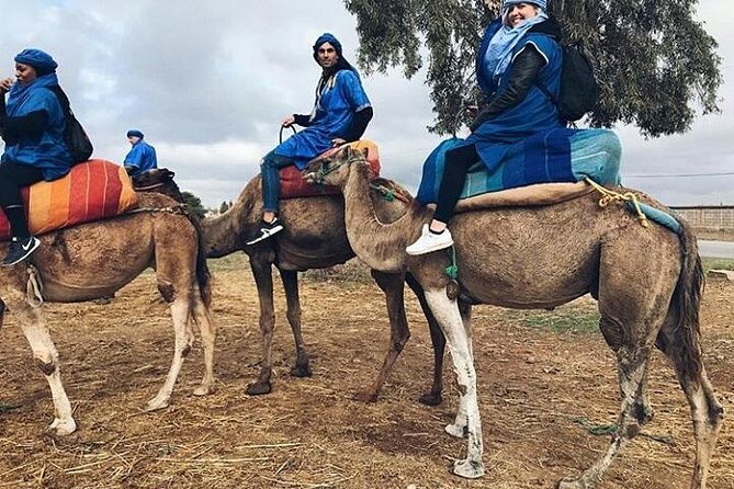 Atlas Mountain & Berber Villages and Waterfalls Day Trip from Marrakech - Lunch in Ait Souka, with a €6 extra charge