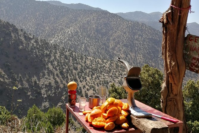 Atlas Mountain & Berber Villages and Waterfalls Day Trip from Marrakech - What the $34.89 price really covers