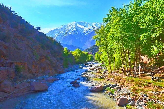 Atlas Mountains, 3 Valleys & Agafay Desert from Marrakech-DayTour - Walking to the waterfalls near Aroumd
