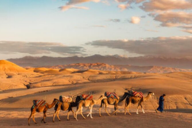 Atlas Mountains, 3 Valleys & Agafay Desert from Marrakech-DayTour - Tea with a Berber family in the Imlil Valley