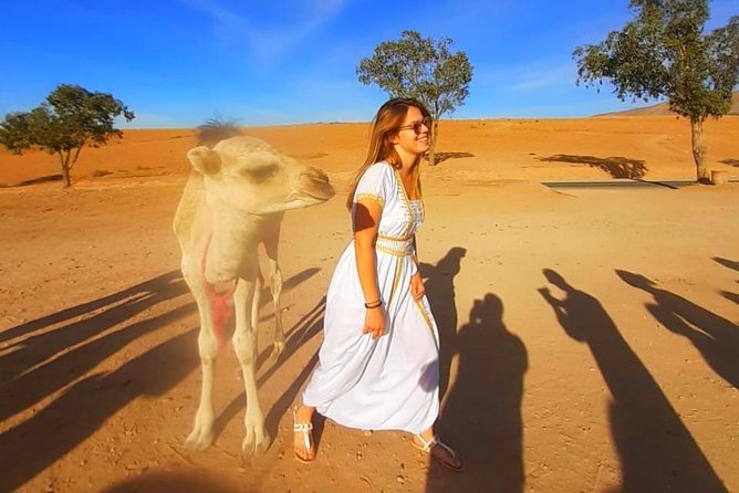 Atlas Mountains, 3 Valleys & Agafay Desert from Marrakech-DayTour - Tagine lunch with mountain views