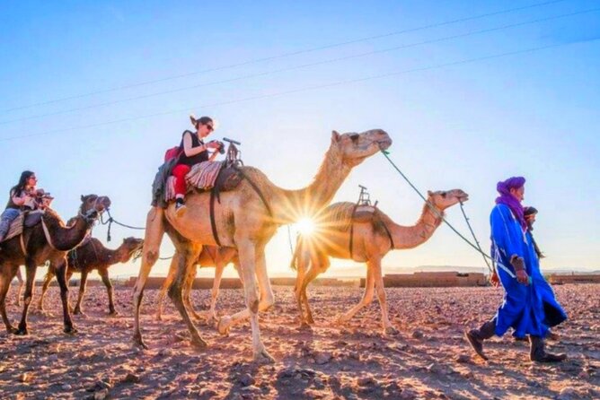 Atlas Mountains, 3 Valleys & Agafay Desert from Marrakech-DayTour - The camel ride in the foothills