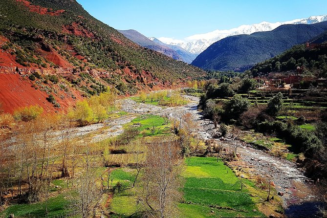 Atlas Mountains & 5 Valleys Tour from Marrakech - All inclusive - - Oukaimeden and the high mountain views