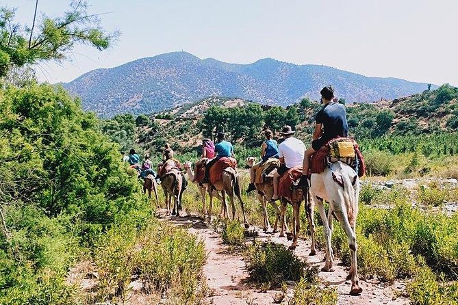 Atlas Mountains and Camel ride Day trip, from Marrakech - A gentle camel ride before the mountain walk