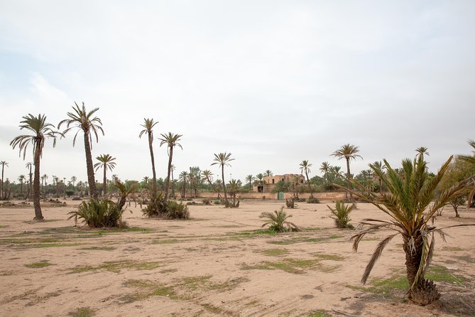 Atlas Mountains Hot Air Balloon Ride from Marrakech with Berber Breakfast and Desert Camel Experience - What the $164.52 price includes