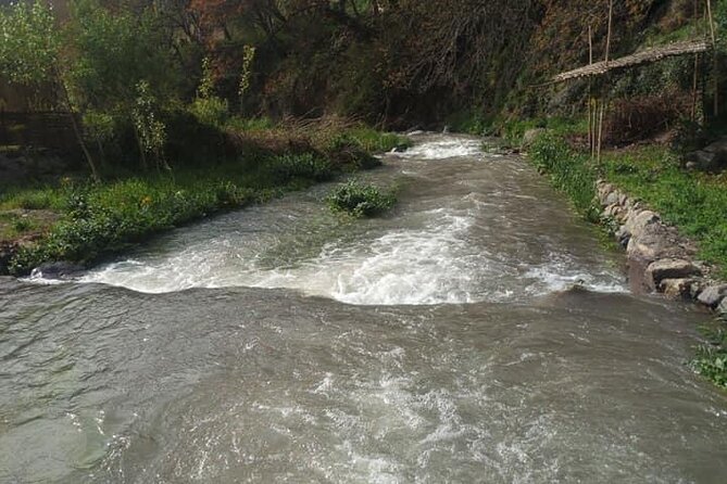 Atlas Mountains ourika valley Guided Tour - Is the $20.33 price good value?