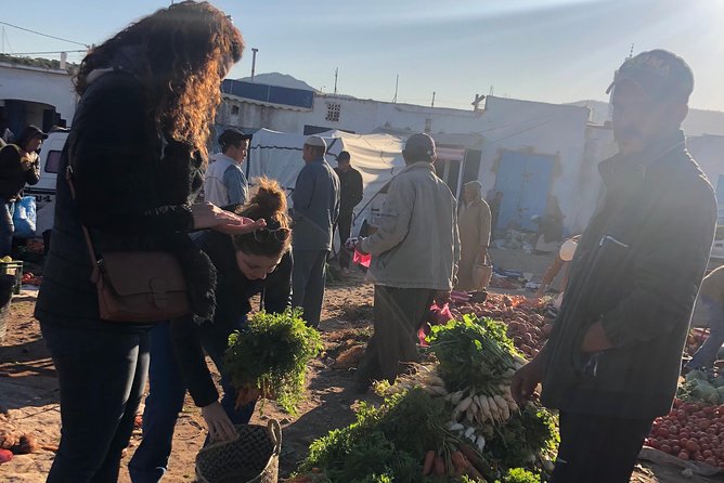 Berber Cooking Class at a Farm in the Countryside & shopping at a rural Souk. - Goat Tagine With Farm Olive Oil