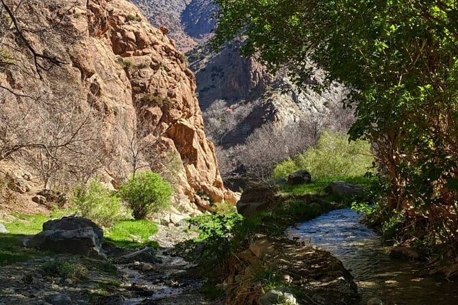 Berber villages : Atlas Mountains Day Hike from Marrakech - Imlil, Mount Toubkal, and the gentle walk