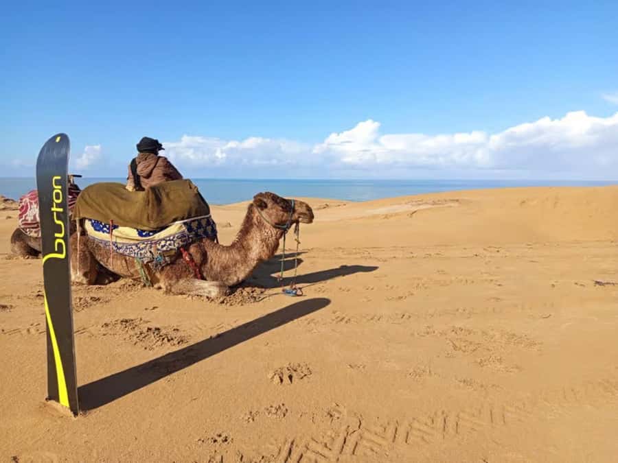 Best Agadir Desert Adventure: Quad Camel Sandboarding & BBQ - Should You Book It?