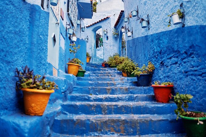 Best Chefchaouen Day Tour from Fez - Key points at a glance