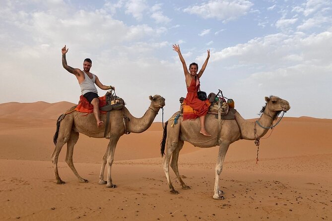 Best Fes to Merzouga Desert Tour 2 Days - Leaving Fes for Ifrane and the cedar forest