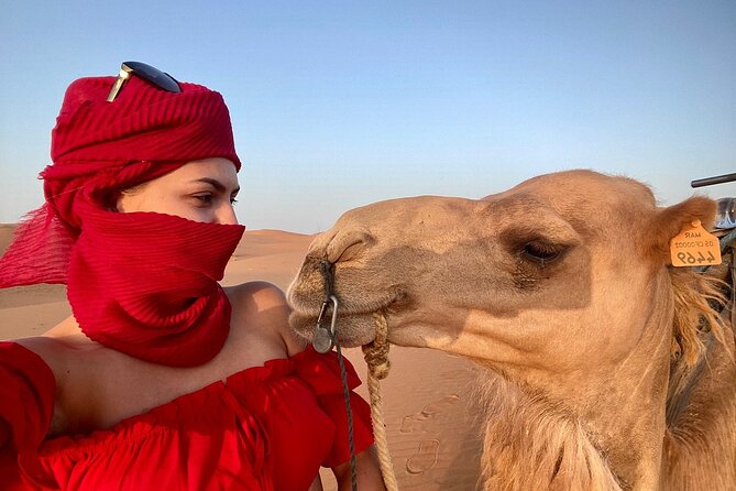Best Fes to Merzouga Desert Tour 2 Days - Reaching Erg Chebbi and the desert camp