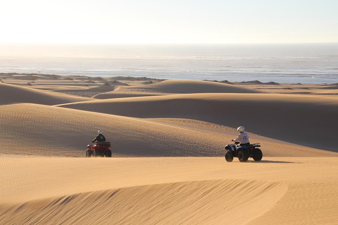 Big Cap Sim dunes and forest 3 hours tour. - Crossing the Cape Sim dunes