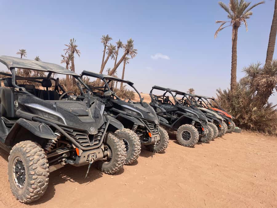 Buggy 1000 cc Adventure in Marrakech Desert - Who will enjoy this Marrakech outing