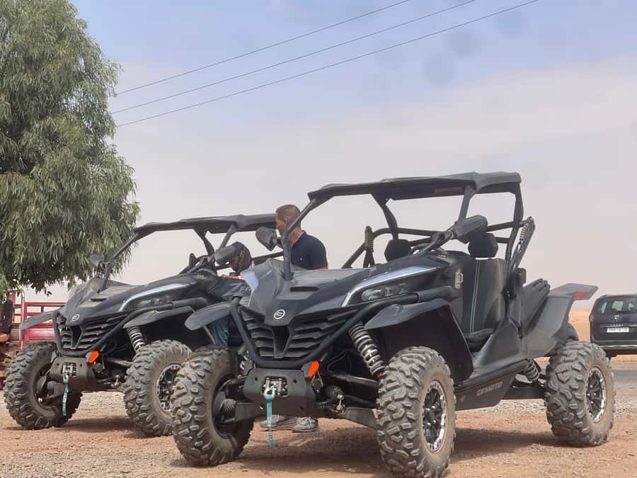 Buggy Marrakech Desert and Palmerie - The Moroccan tea stop