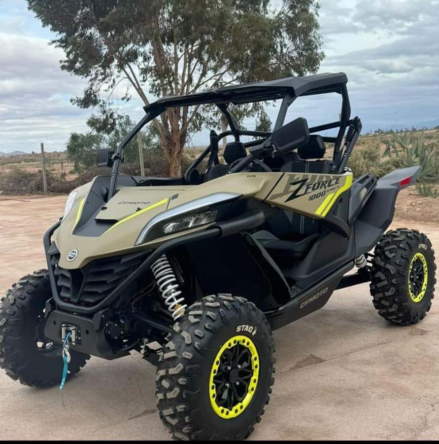 Buggy Marrakech Desert and Palmerie - Who will enjoy this most