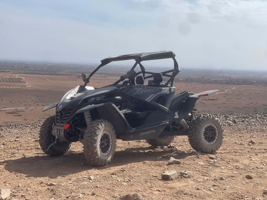 Buggy Marrakech Desert and Palmerie - Sand, gravel, humps, and palm-lined tracks