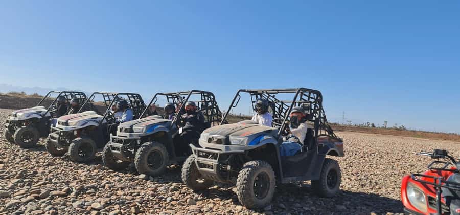 Buggy ride at the Palm Grove and Desert with swimming pool - The Palm Grove pause and its photo value