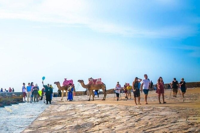 Cable Car Experience and Agadir City Tour. - What the $13.78 price really covers