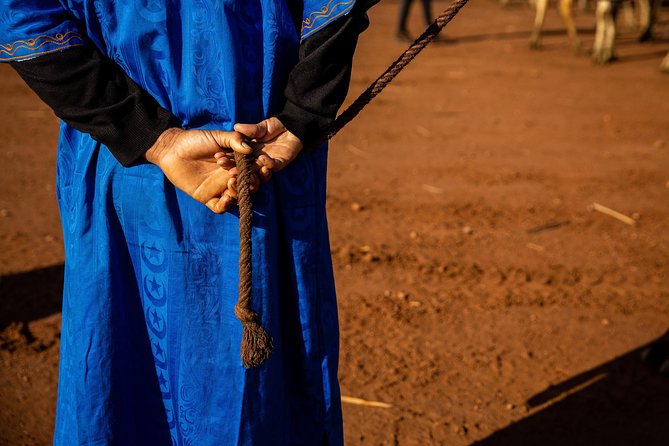 Camel and Quad Biking Tour from Marrakech - Photos and the extra-cost details