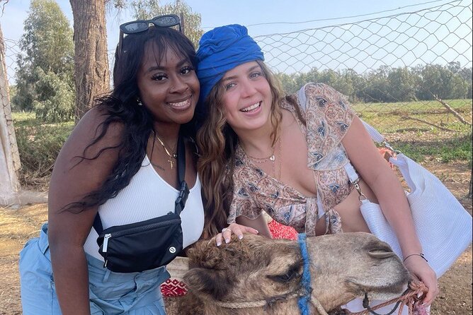 Camel ride in agadir at sunset with barbecue and couscous - Quick points before you book