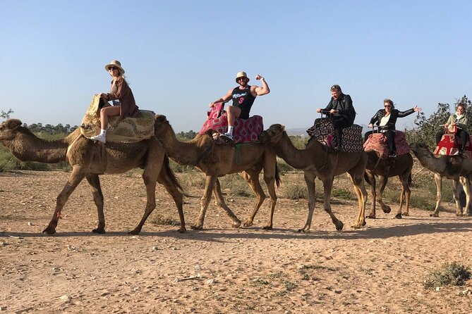 Camel ride in agadir at sunset with barbecue and couscous - Flamingos and the Souss River
