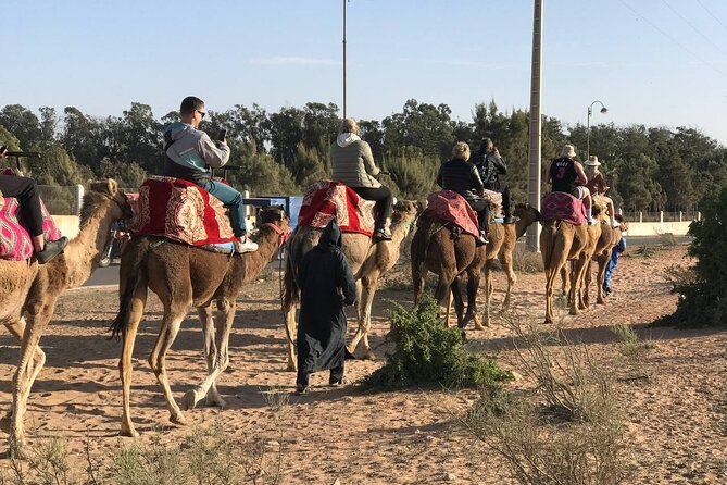 Camel ride in agadir at sunset with barbecue and couscous - Sunset timing is not guaranteed