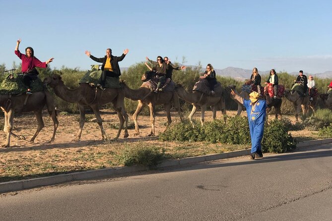 Camel ride in agadir at sunset with barbecue and couscous - Who will enjoy this evening most