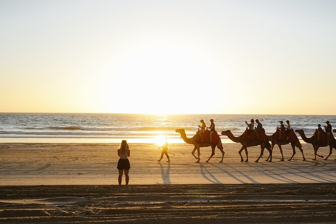 Camel ride in agadir at sunset with barbecue and couscous - Meeting the camels and mounting up